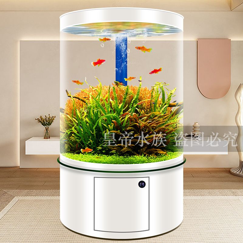 Bể cá kính trụ tròn 80cm Nhập Khẩu BC023-sao chép